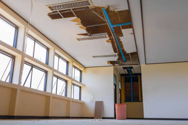 Best Water damage restoration process  in Berlin, MD