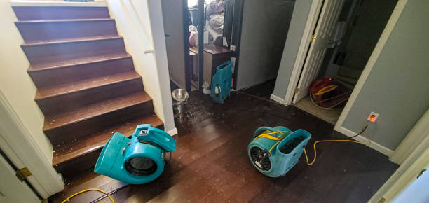 Water damage restoration mold remediation in Berlin, MD