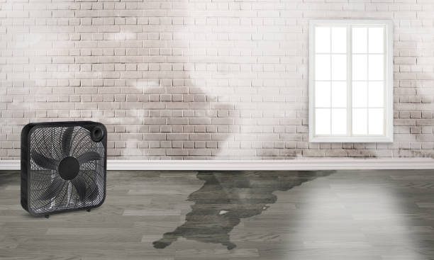  Berlin, MD Water damage restoration Pros