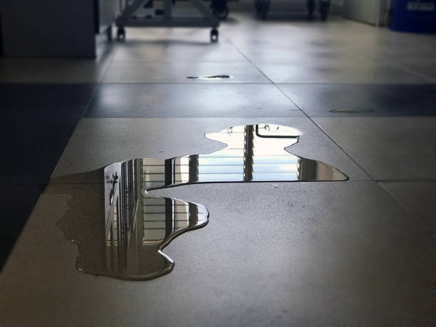 Best Water damage restoration services  in Berlin, MD