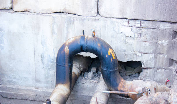 Best Carpet water damage restoration  in Berlin, MD