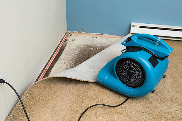 Best Water damage contractors near me  in Berlin, MD